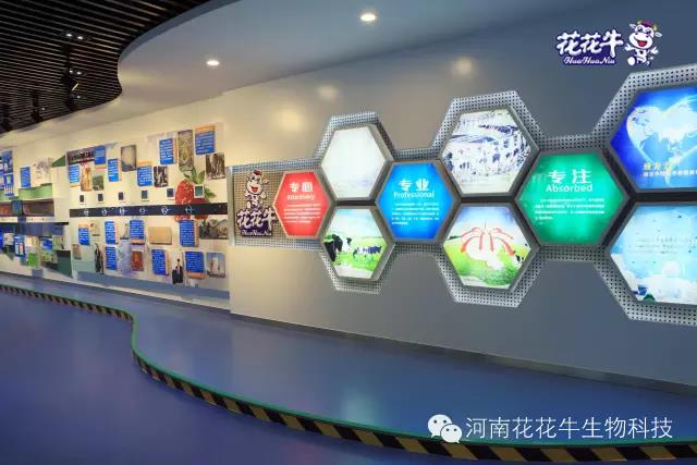 花花牛:务实、创新领潮市场 大企业体现大担当 花花牛:务实、创新领潮市场 大企业体现大担当